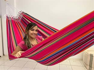 Tropical Hammocks